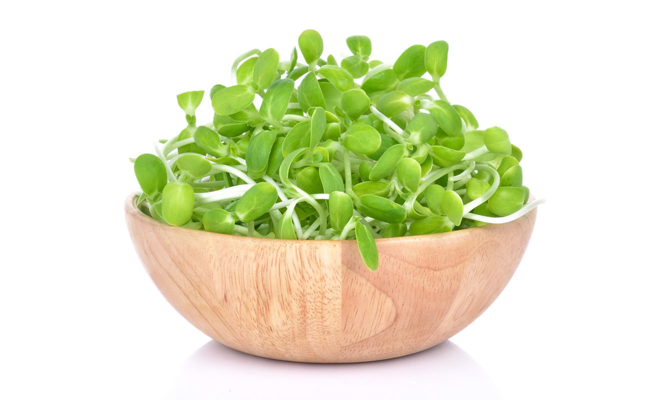 Sunflower Sprouts