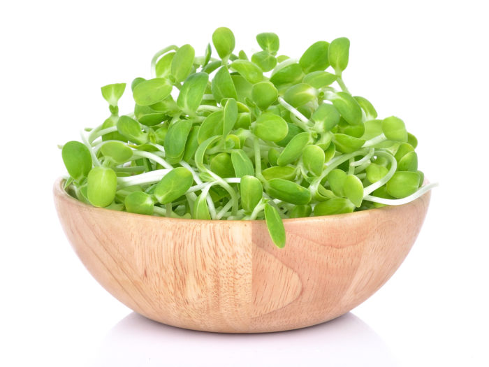 Sunflower Sprouts
