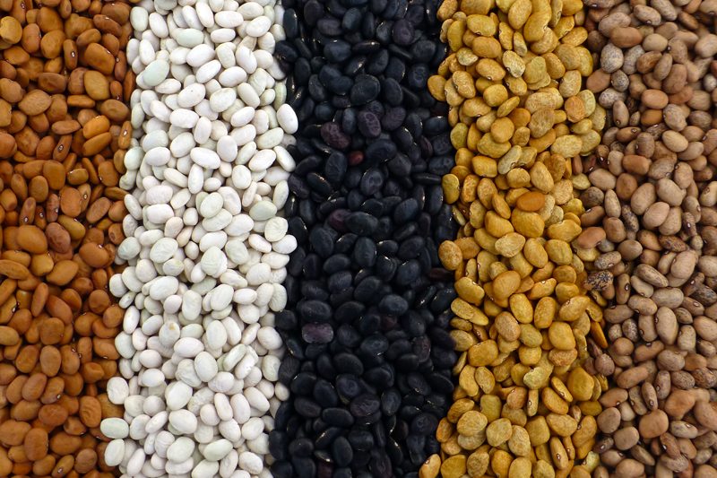 variety of Tepary beans