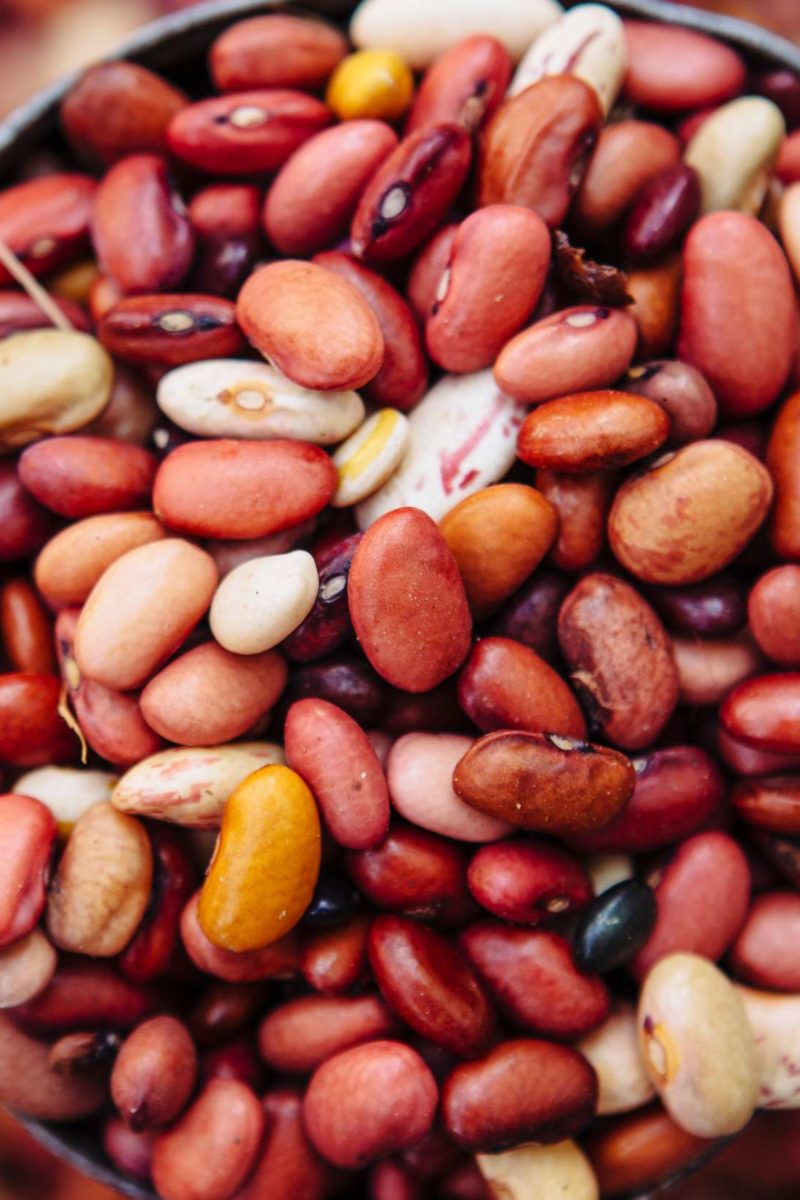 types-of-beans-and-how-to-cook-with-them-sweetgrass-trading-co