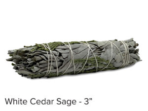 White Cedar Sage