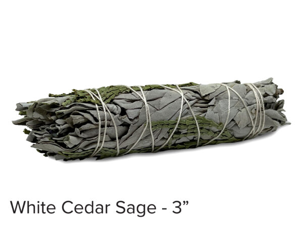 White Cedar Sage