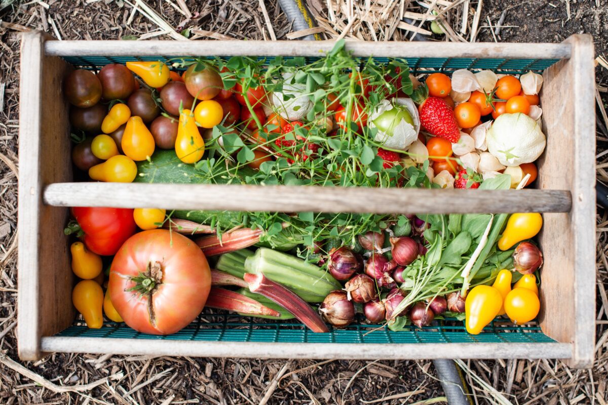 bundle of fresh garden vegetables in a wooden crate