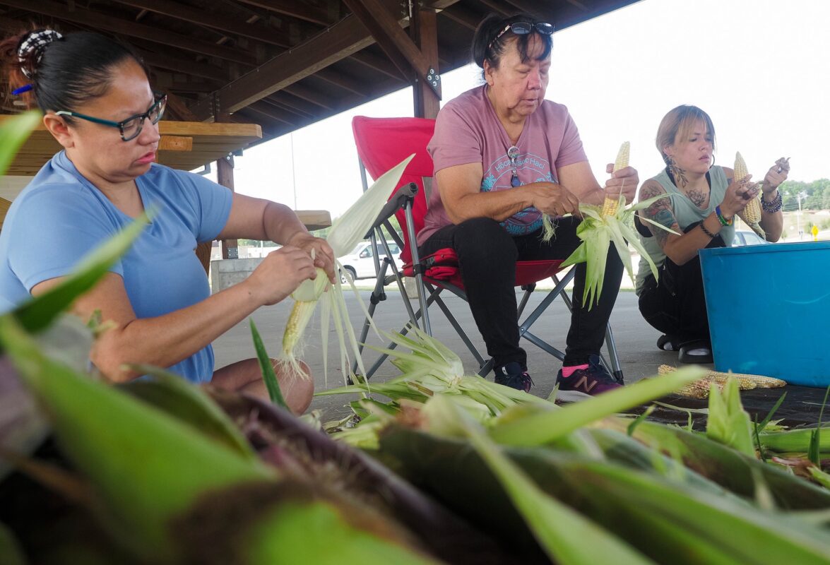 Employees of Ho Chunk Inc and members of the Winnebago Tribe of Nebraska harvest Indian Corn Tuesday, Sept. 5, 2023 in Winnebago, NE. (photo by Jerry L Mennenga©)