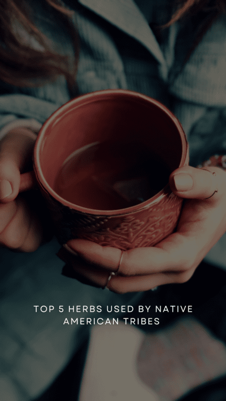 Hands holding a clay mug of tea; text over top of the picture says "Top 5 Herbs Used by Native American Tribes"