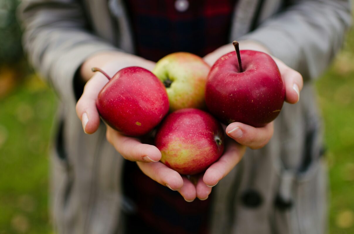 Hands holding four apples in the foreground. The background is out of focus and shows a person wearing a taupe sweater and black shirt.