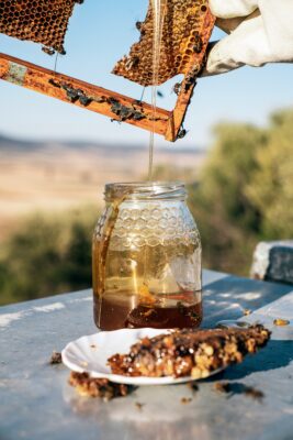 Photo of a honey hive frame dripping honey into a jar