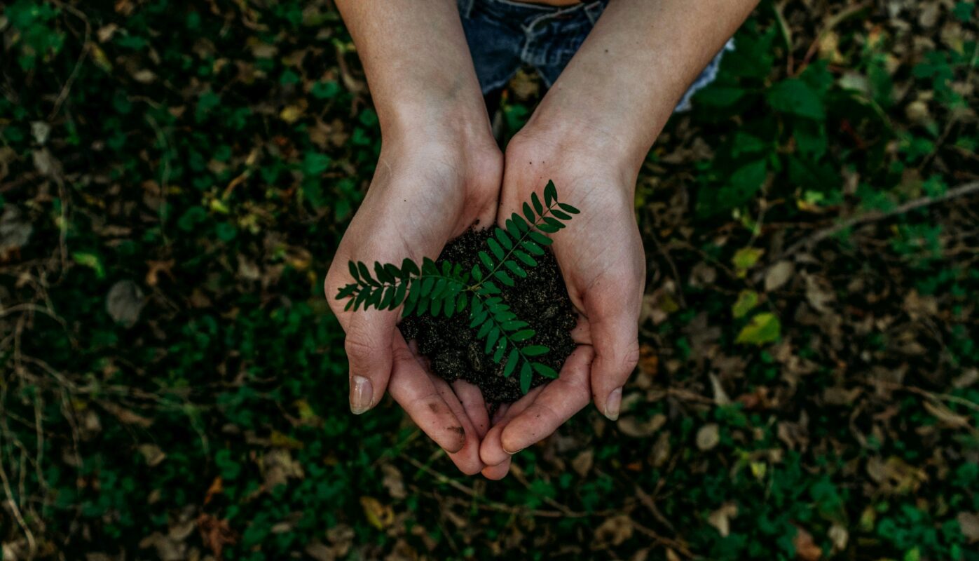 Hands holding dirt and a plant